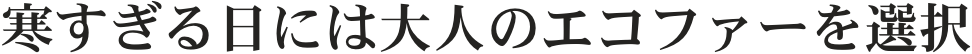 寒すぎる日には大人のエコファーを選択