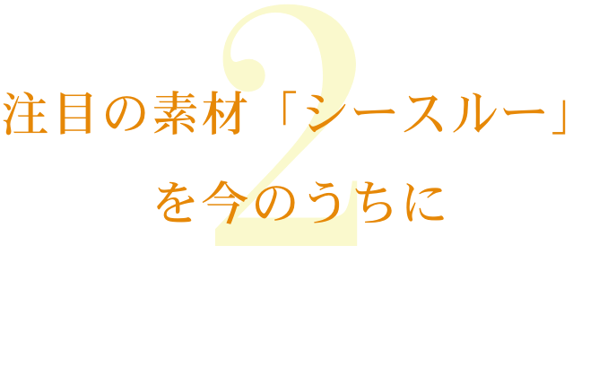 注目の素材「シースルー」を今のうちに