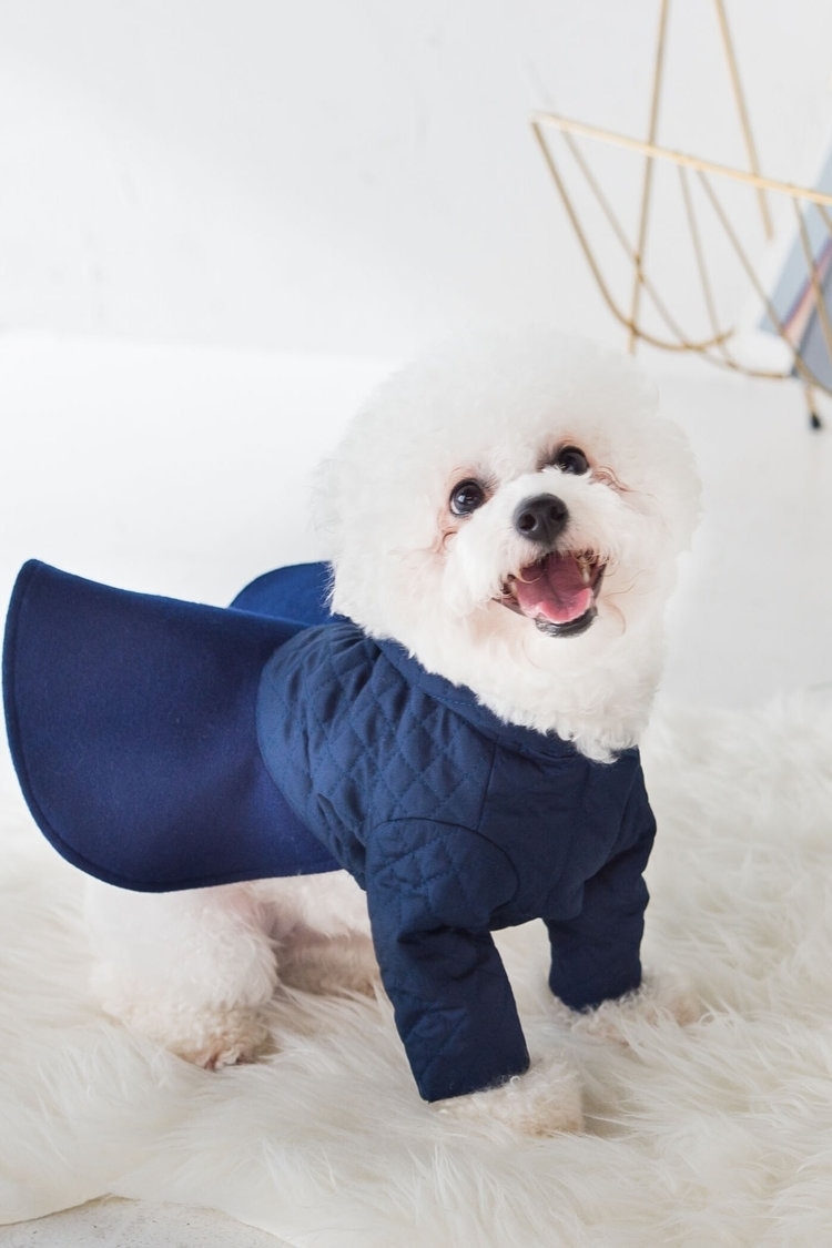 キルティングで温かさ◎な愛犬とお揃いのコーデ QUEENS COURT