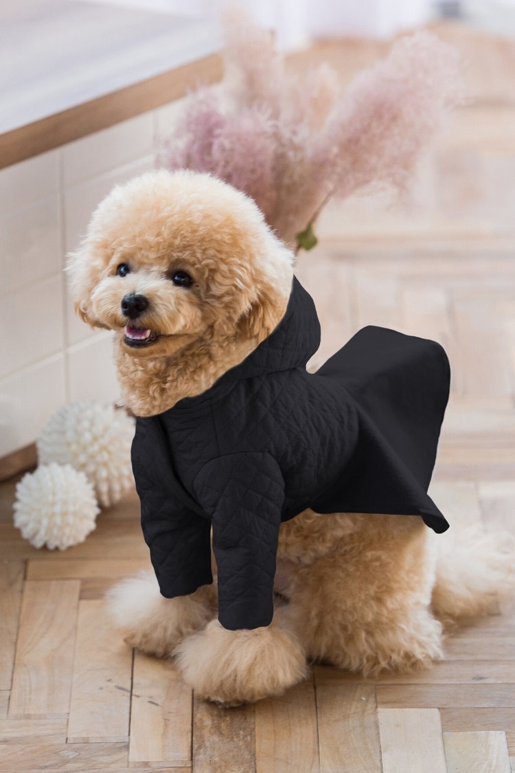 中綿アウター＆ベストで大人っぽい愛犬リンクコーデ QUEENS COURT