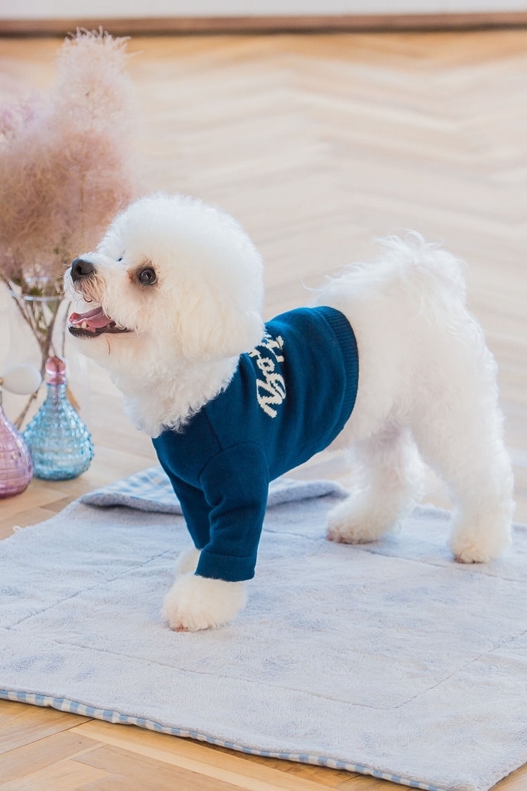 色違いのお揃い服でさりげないリンクコーデを楽しむ QUEENS COURT