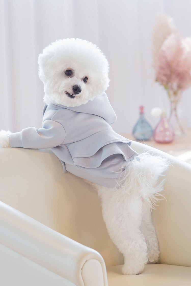 同デザイン×色違いでさりげない愛犬リンクコーデに QUEENS COURT