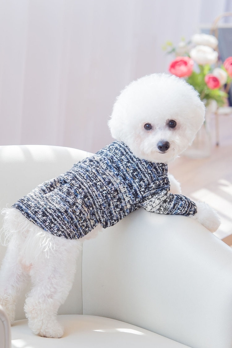 ツィードならきれいめカジュアルなお揃いコーデも可能 QUEENS COURT